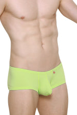 Boxer Bellac Absinthe