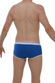 Boxer Morrier Blue