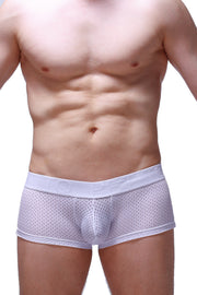 Boxer Reotier Bee White
