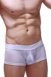 Boxer Reotier Bee White